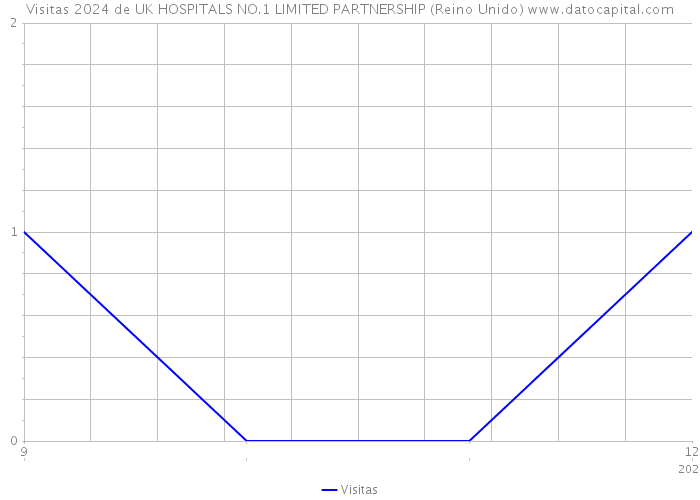Visitas 2024 de UK HOSPITALS NO.1 LIMITED PARTNERSHIP (Reino Unido) 