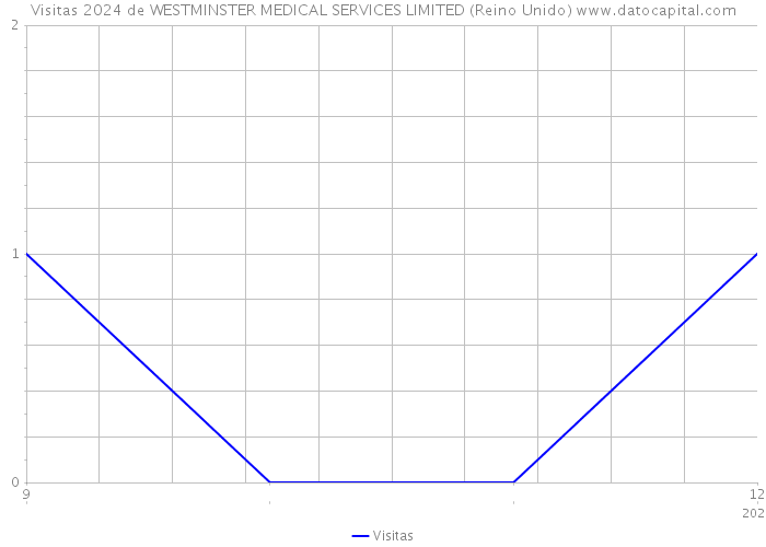 Visitas 2024 de WESTMINSTER MEDICAL SERVICES LIMITED (Reino Unido) 