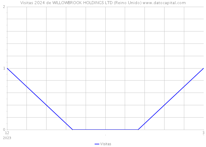 Visitas 2024 de WILLOWBROOK HOLDINGS LTD (Reino Unido) 
