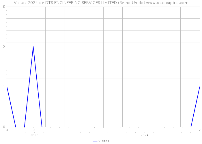 Visitas 2024 de DTS ENGINEERING SERVICES LIMITED (Reino Unido) 