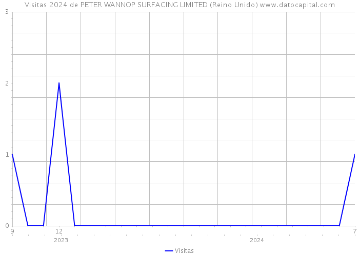 Visitas 2024 de PETER WANNOP SURFACING LIMITED (Reino Unido) 