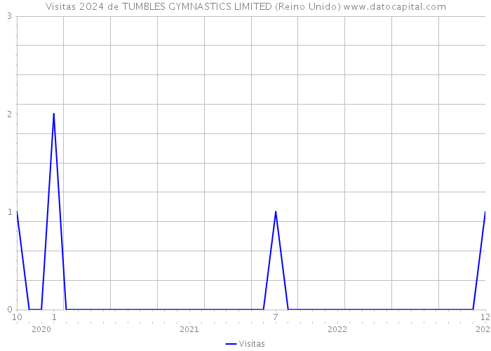 Visitas 2024 de TUMBLES GYMNASTICS LIMITED (Reino Unido) 