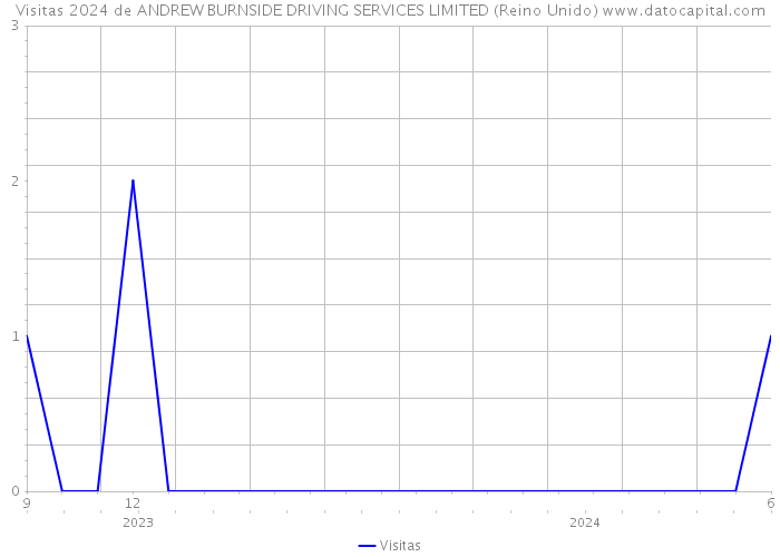 Visitas 2024 de ANDREW BURNSIDE DRIVING SERVICES LIMITED (Reino Unido) 