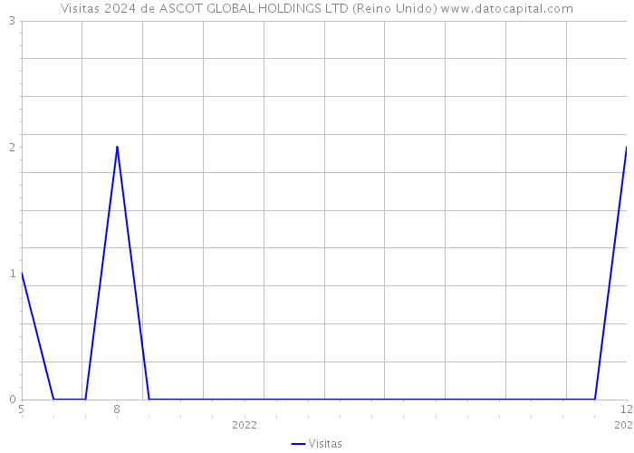 Visitas 2024 de ASCOT GLOBAL HOLDINGS LTD (Reino Unido) 