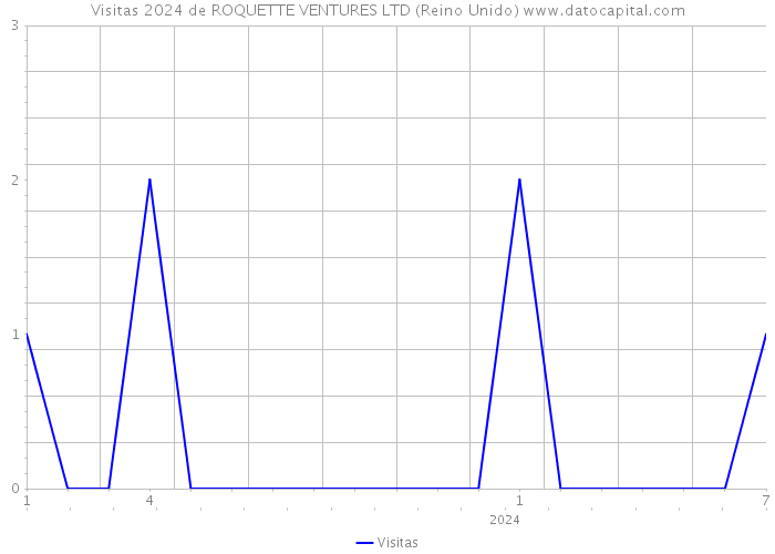 Visitas 2024 de ROQUETTE VENTURES LTD (Reino Unido) 