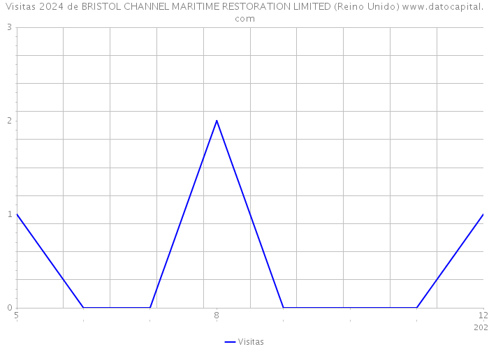 Visitas 2024 de BRISTOL CHANNEL MARITIME RESTORATION LIMITED (Reino Unido) 