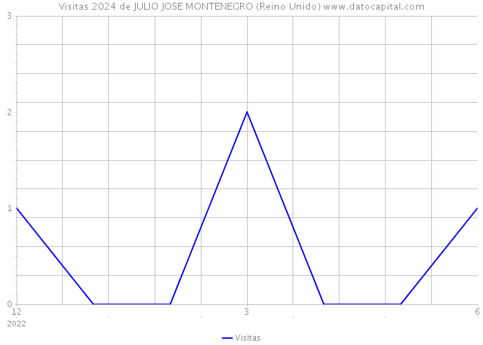 Visitas 2024 de JULIO JOSE MONTENEGRO (Reino Unido) 