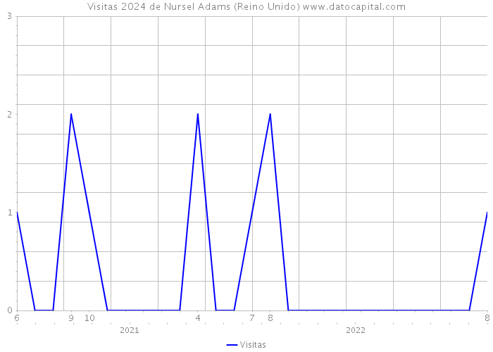 Visitas 2024 de Nursel Adams (Reino Unido) 