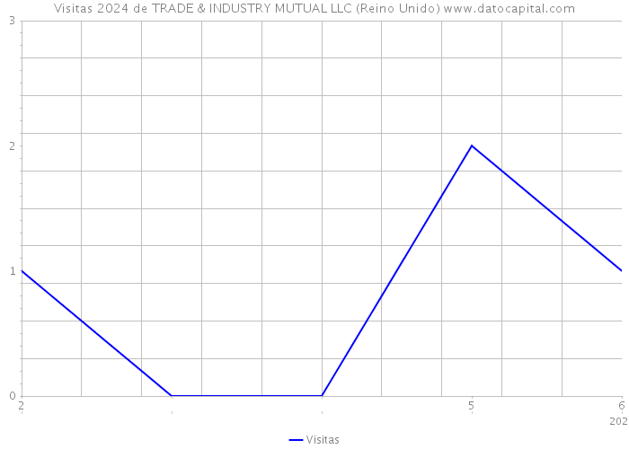 Visitas 2024 de TRADE & INDUSTRY MUTUAL LLC (Reino Unido) 