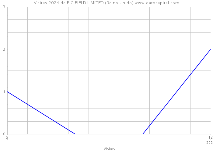 Visitas 2024 de BIG FIELD LIMITED (Reino Unido) 