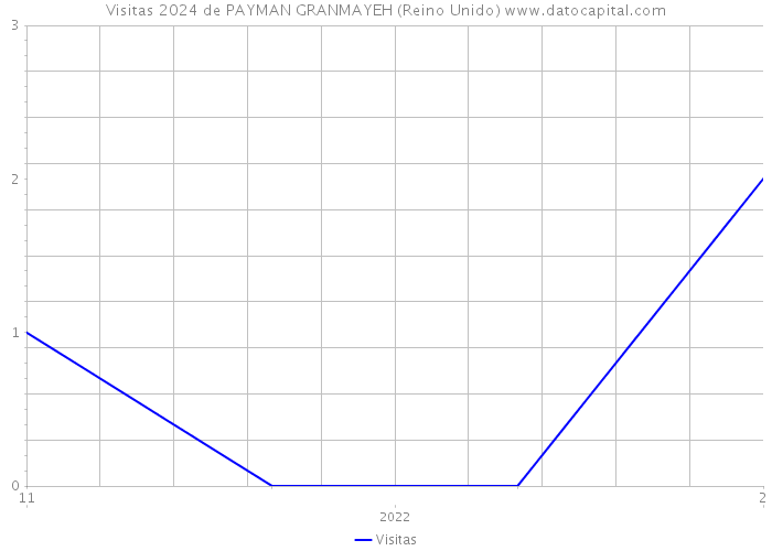 Visitas 2024 de PAYMAN GRANMAYEH (Reino Unido) 