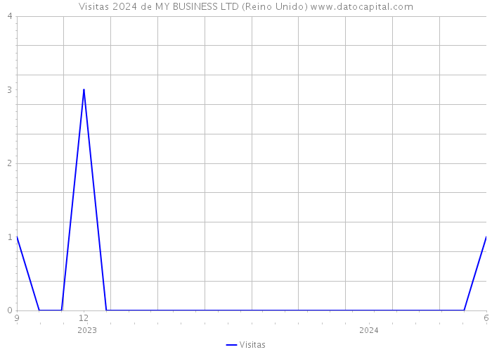 Visitas 2024 de MY BUSINESS LTD (Reino Unido) 