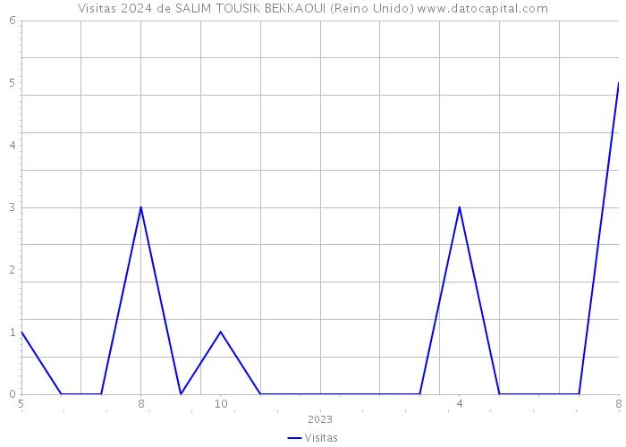 Visitas 2024 de SALIM TOUSIK BEKKAOUI (Reino Unido) 