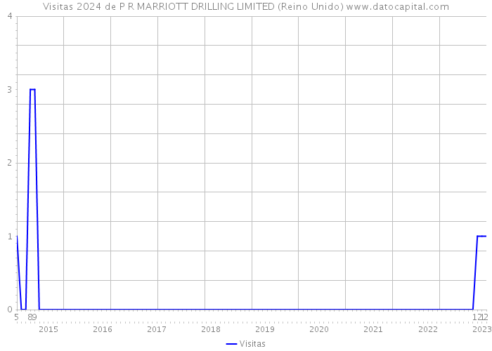 Visitas 2024 de P R MARRIOTT DRILLING LIMITED (Reino Unido) 