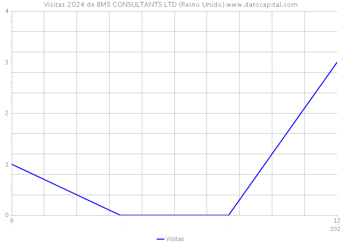 Visitas 2024 de BMS CONSULTANTS LTD (Reino Unido) 