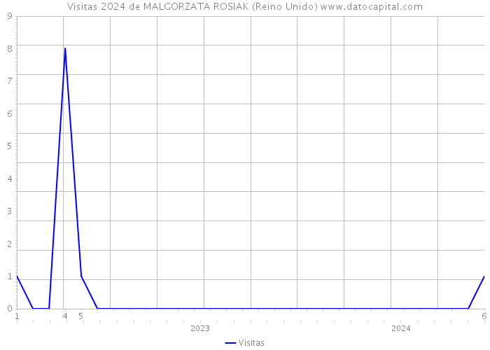 Visitas 2024 de MALGORZATA ROSIAK (Reino Unido) 