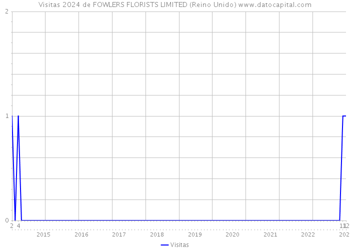 Visitas 2024 de FOWLERS FLORISTS LIMITED (Reino Unido) 