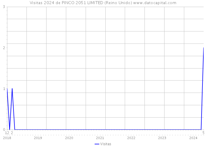 Visitas 2024 de PINCO 2051 LIMITED (Reino Unido) 