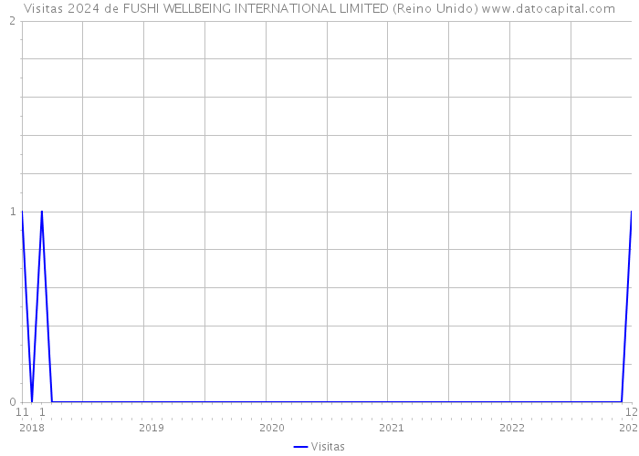 Visitas 2024 de FUSHI WELLBEING INTERNATIONAL LIMITED (Reino Unido) 