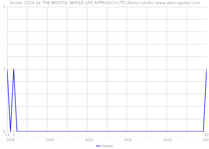 Visitas 2024 de THE BRISTOL WHOLE LIFE APPROACH LTD (Reino Unido) 