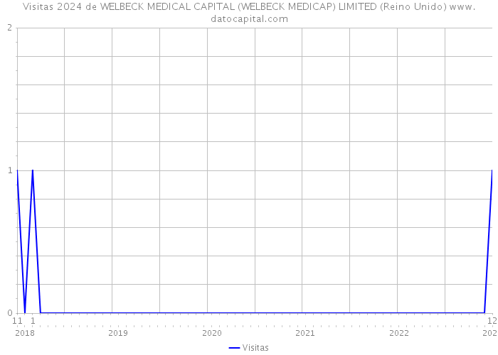Visitas 2024 de WELBECK MEDICAL CAPITAL (WELBECK MEDICAP) LIMITED (Reino Unido) 
