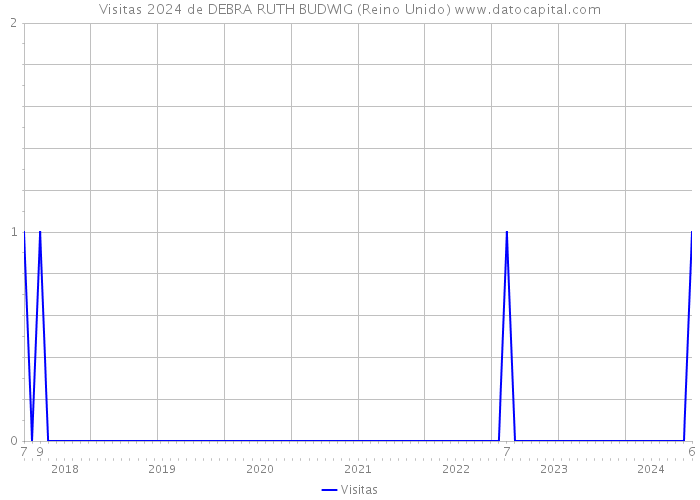 Visitas 2024 de DEBRA RUTH BUDWIG (Reino Unido) 