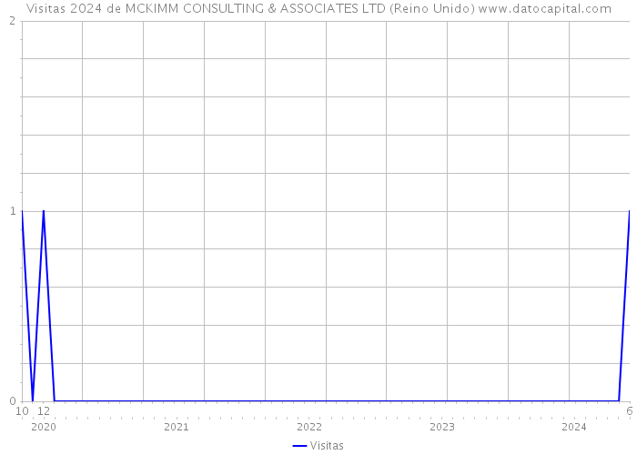Visitas 2024 de MCKIMM CONSULTING & ASSOCIATES LTD (Reino Unido) 