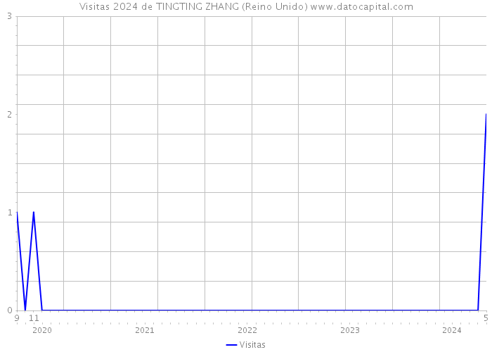 Visitas 2024 de TINGTING ZHANG (Reino Unido) 