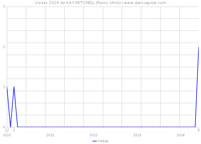 Visitas 2024 de KAY MITCHELL (Reino Unido) 