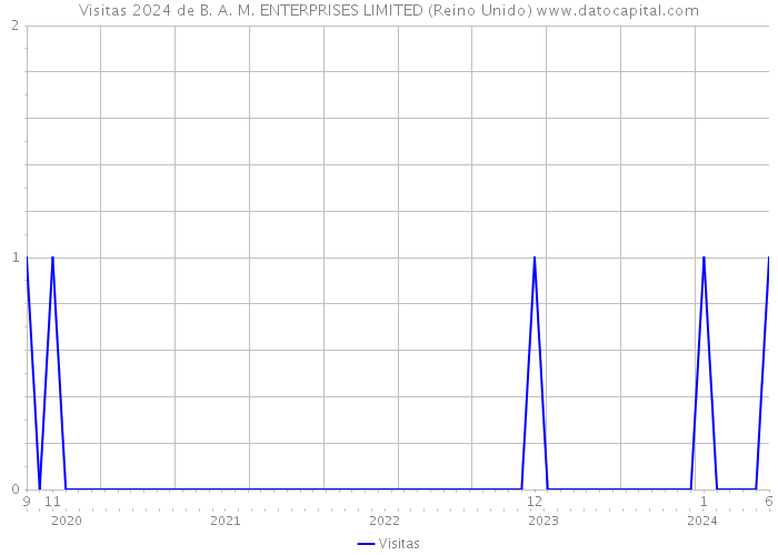 Visitas 2024 de B. A. M. ENTERPRISES LIMITED (Reino Unido) 