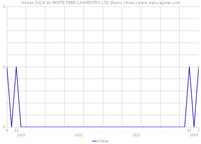 Visitas 2024 de WHITE TREE CARPENTRY LTD (Reino Unido) 