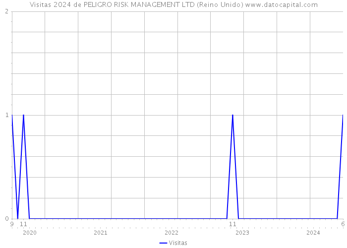 Visitas 2024 de PELIGRO RISK MANAGEMENT LTD (Reino Unido) 