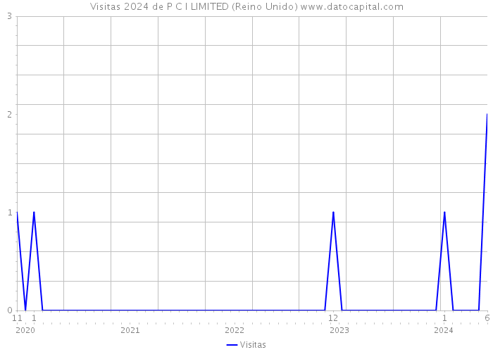 Visitas 2024 de P C I LIMITED (Reino Unido) 