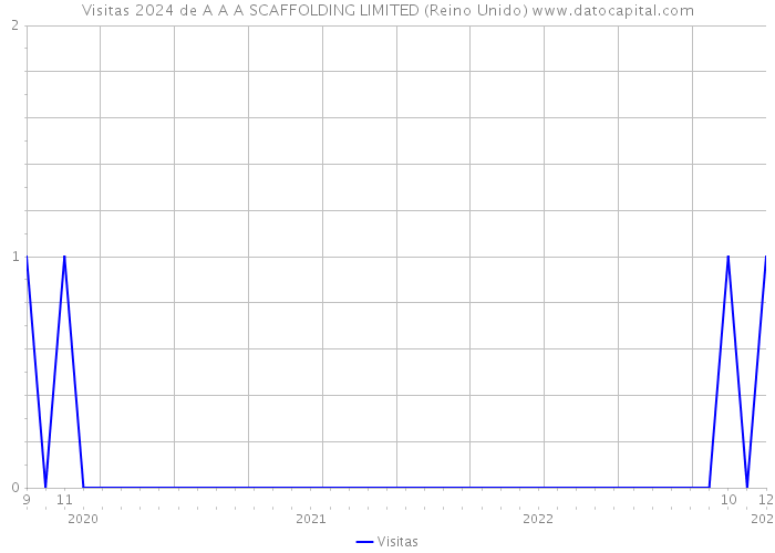 Visitas 2024 de A A A SCAFFOLDING LIMITED (Reino Unido) 