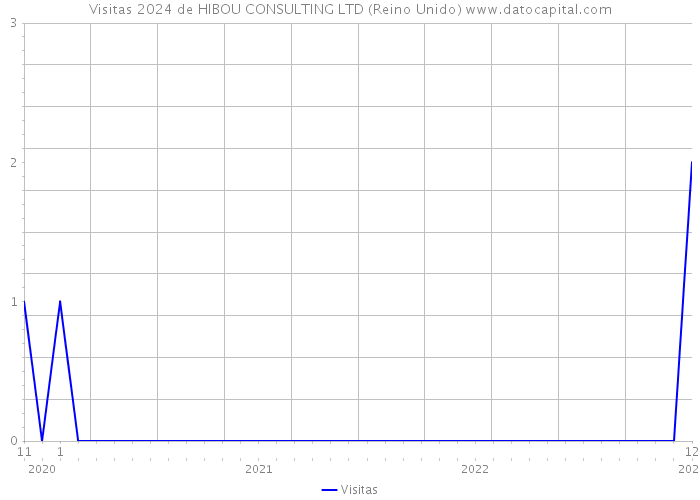 Visitas 2024 de HIBOU CONSULTING LTD (Reino Unido) 