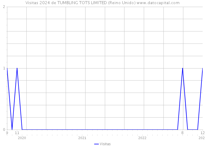 Visitas 2024 de TUMBLING TOTS LIMITED (Reino Unido) 