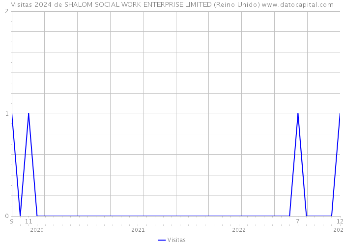 Visitas 2024 de SHALOM SOCIAL WORK ENTERPRISE LIMITED (Reino Unido) 