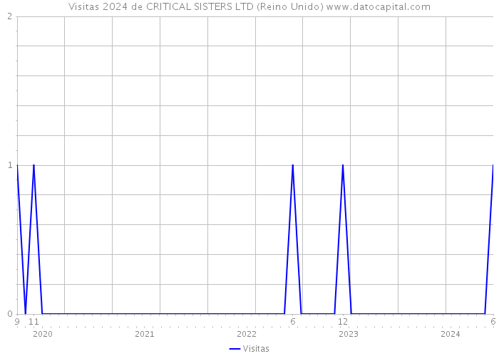 Visitas 2024 de CRITICAL SISTERS LTD (Reino Unido) 