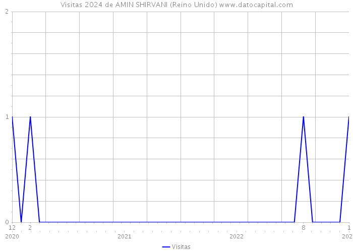 Visitas 2024 de AMIN SHIRVANI (Reino Unido) 