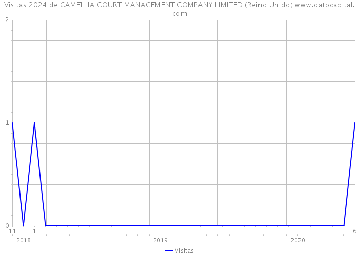 Visitas 2024 de CAMELLIA COURT MANAGEMENT COMPANY LIMITED (Reino Unido) 