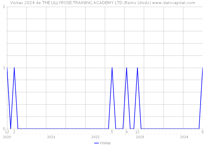 Visitas 2024 de THE LILLYROSE TRAINING ACADEMY LTD (Reino Unido) 