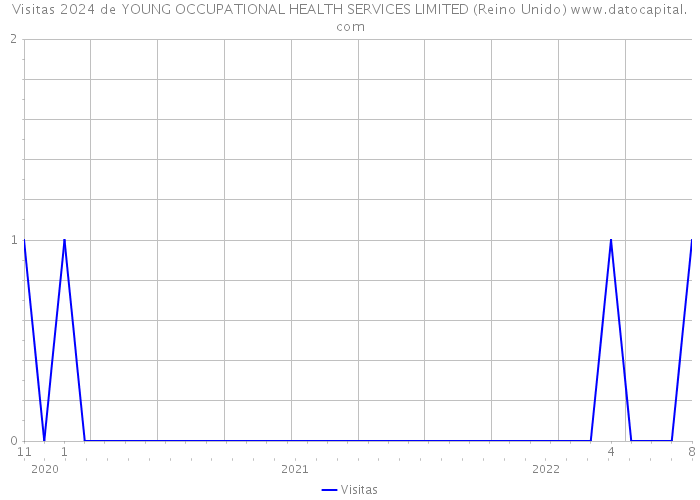 Visitas 2024 de YOUNG OCCUPATIONAL HEALTH SERVICES LIMITED (Reino Unido) 