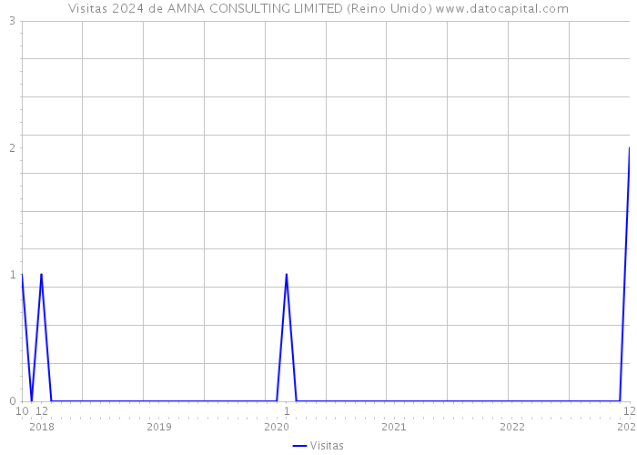 Visitas 2024 de AMNA CONSULTING LIMITED (Reino Unido) 