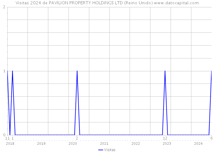 Visitas 2024 de PAVILION PROPERTY HOLDINGS LTD (Reino Unido) 