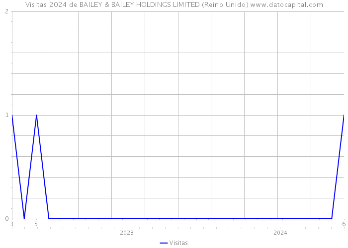 Visitas 2024 de BAILEY & BAILEY HOLDINGS LIMITED (Reino Unido) 