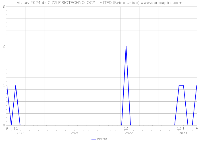 Visitas 2024 de CIZZLE BIOTECHNOLOGY LIMITED (Reino Unido) 