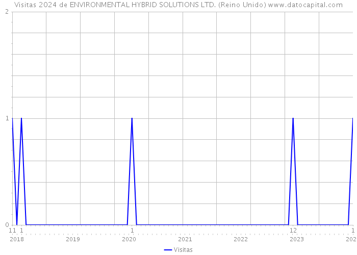 Visitas 2024 de ENVIRONMENTAL HYBRID SOLUTIONS LTD. (Reino Unido) 