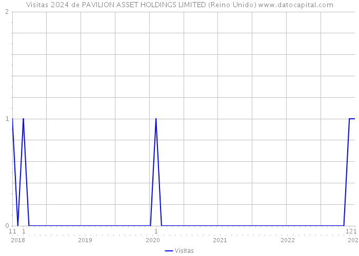 Visitas 2024 de PAVILION ASSET HOLDINGS LIMITED (Reino Unido) 