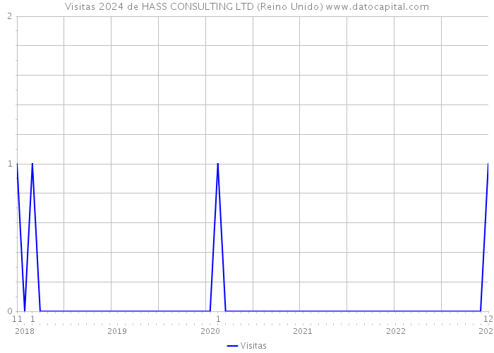 Visitas 2024 de HASS CONSULTING LTD (Reino Unido) 