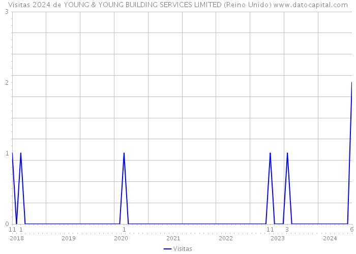 Visitas 2024 de YOUNG & YOUNG BUILDING SERVICES LIMITED (Reino Unido) 